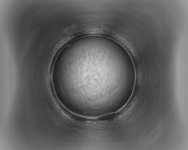 X0000116320721200912091018