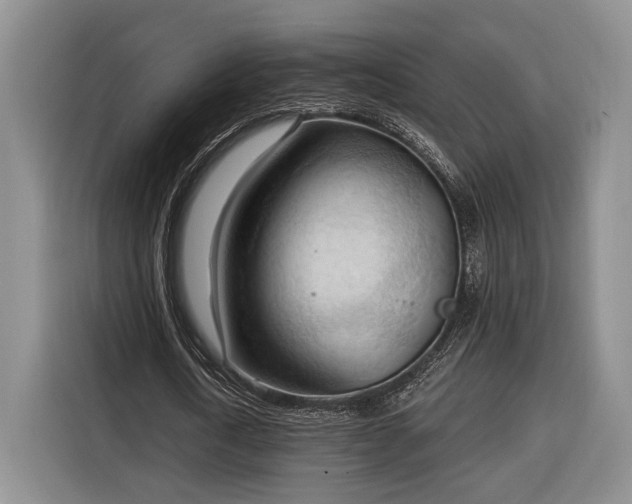 X0000116320722200912091018