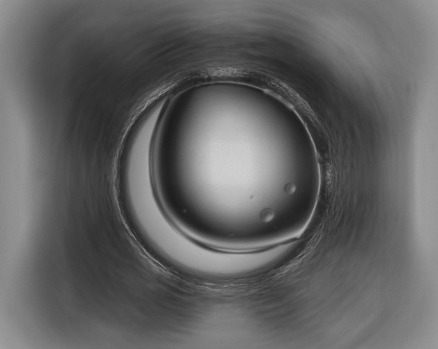 X0000116320725200912091018