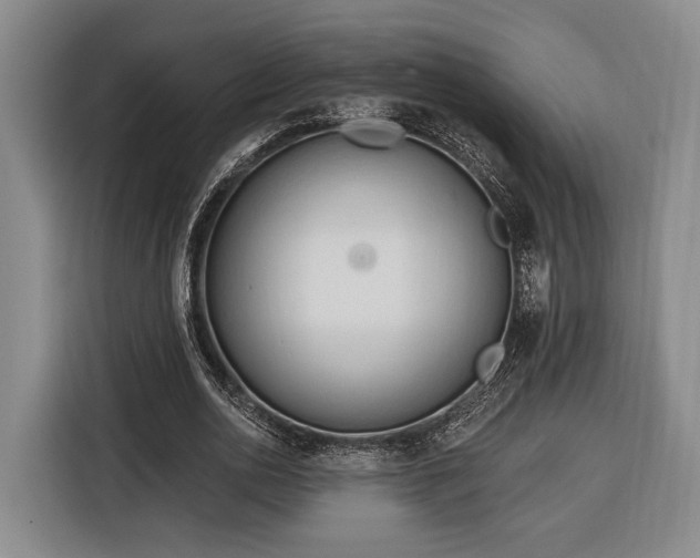 X0000116320726200912091018