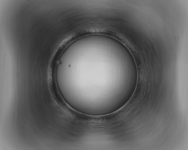 X0000116320727200912091018