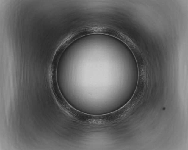 X0000116320730200912091019