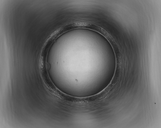 X0000116320731200912091019