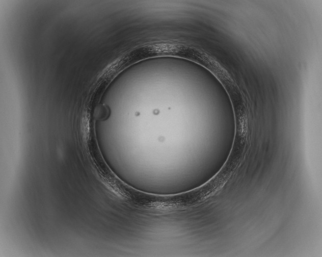 X0000116320733200912091019