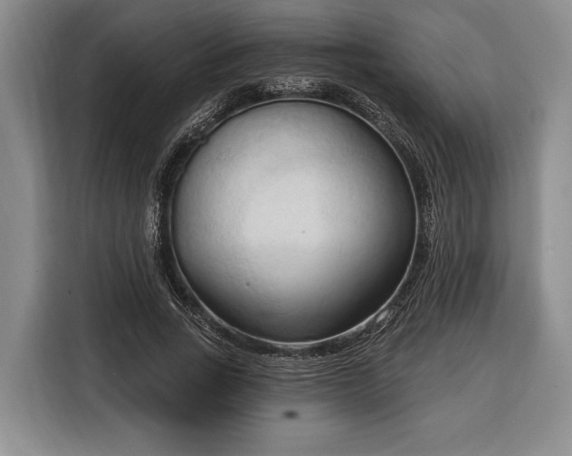 X0000116320735200912091019