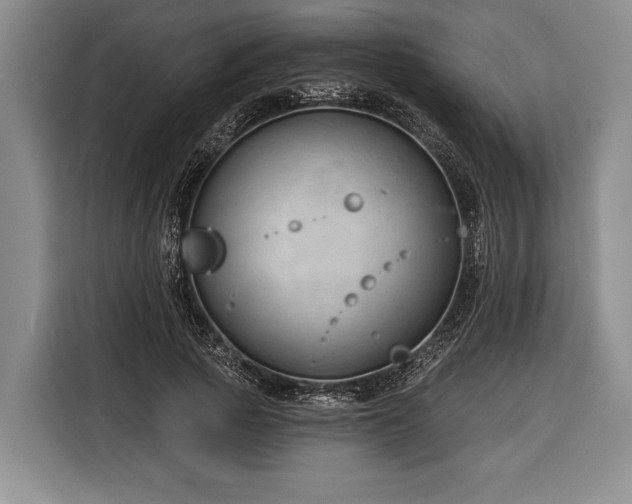 X0000116320737200912091019