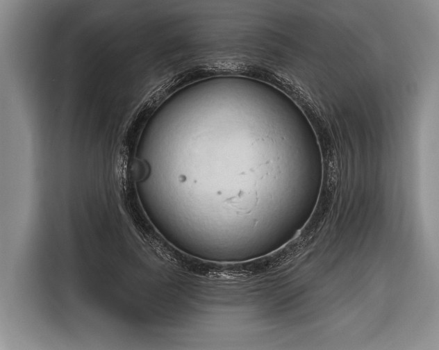 X0000116320739200912091019