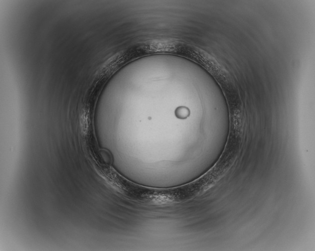 X0000116320741200912091019