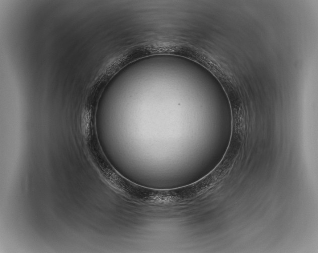 X0000116320742200912091019