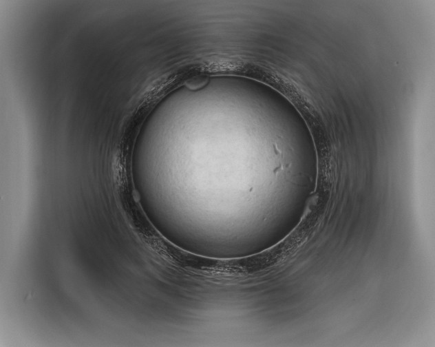 X0000116320743200912091019