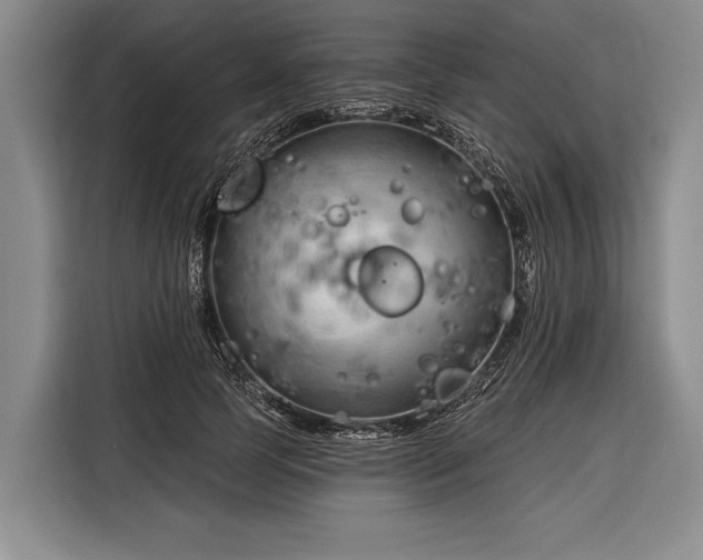 X0000116320745200912091019