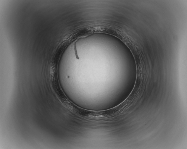 X0000116320747200912091019