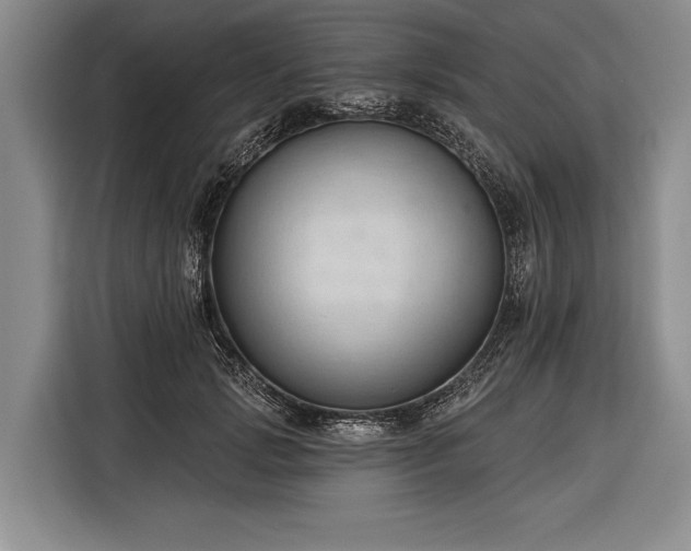 X0000116320749200912091019