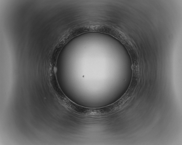 X0000116320750200912091019