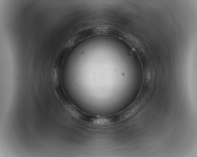 X0000116320759200912091019