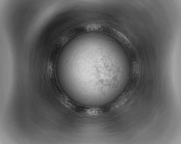 X0000116320761200912091019