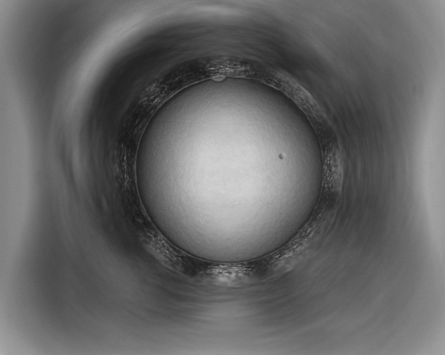 X0000116320762200912091019