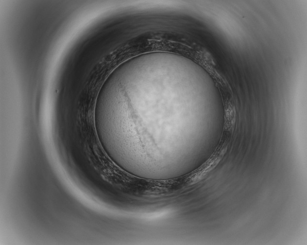 X0000116320765200912091019