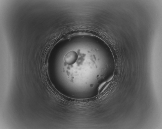 X0000116320769200912091018