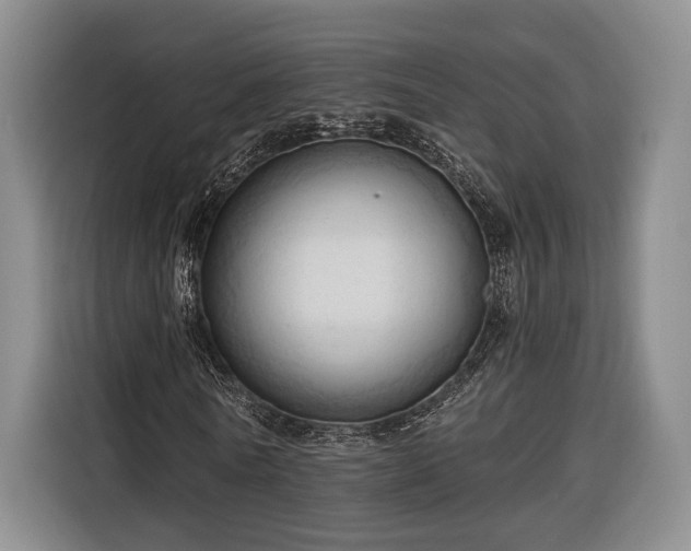 X0000116320770200912091018