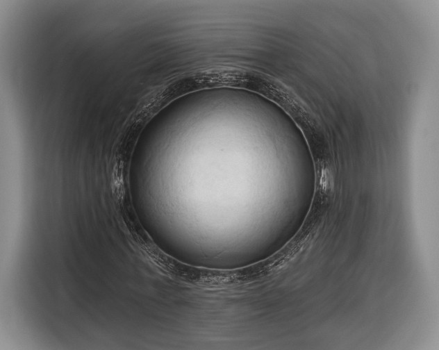 X0000116320771200912091018