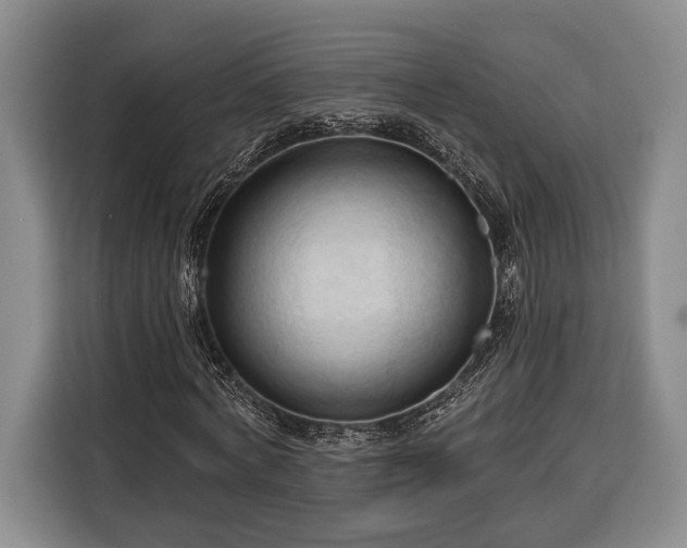 X0000116320772200912091018