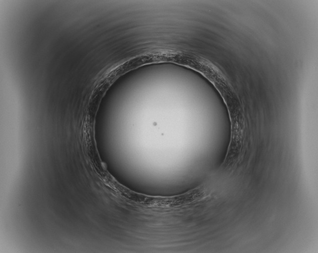 X0000116320773200912091018