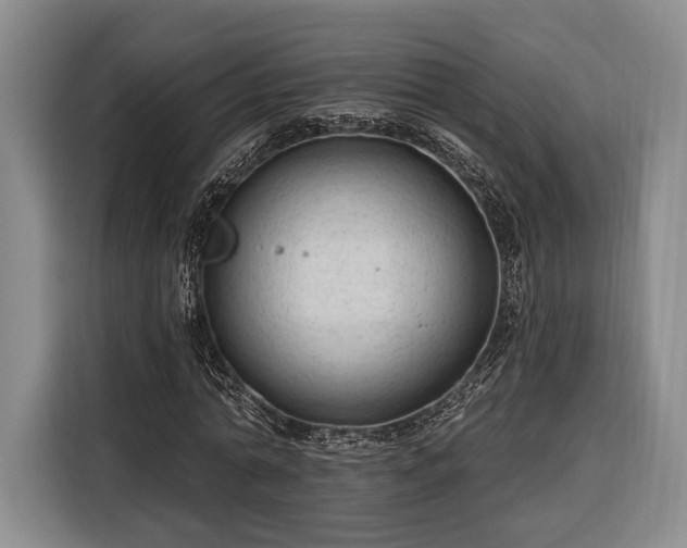 X0000116320774200912091018