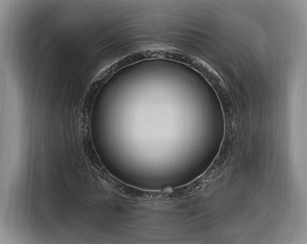 X0000116320775200912091018