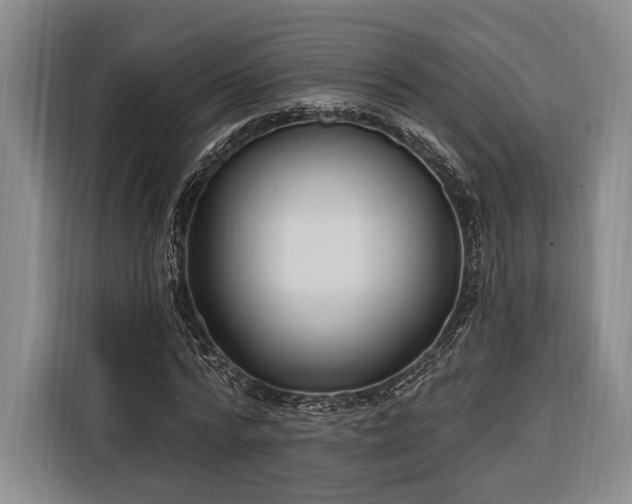 X0000116320776200912091018