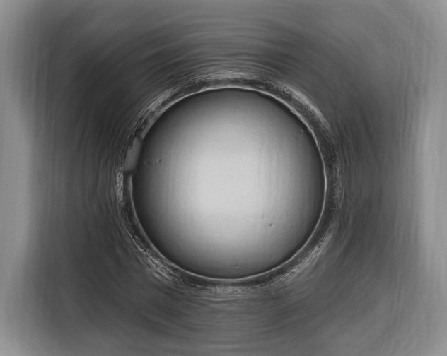 X0000116320777200912091018