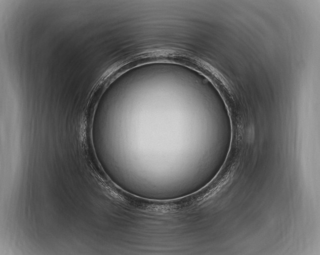 X0000116320778200912091018