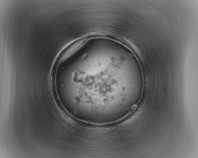 X0000116320779200912091018