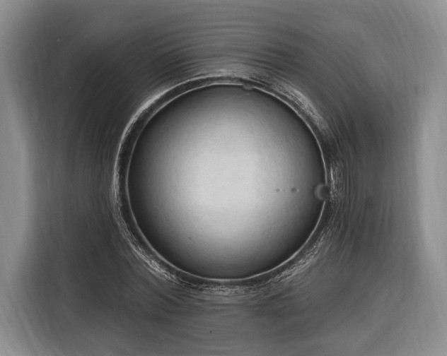 X0000116320780200912091018