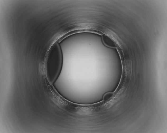 X0000116320781200912091018