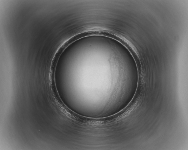 X0000116320783200912091018