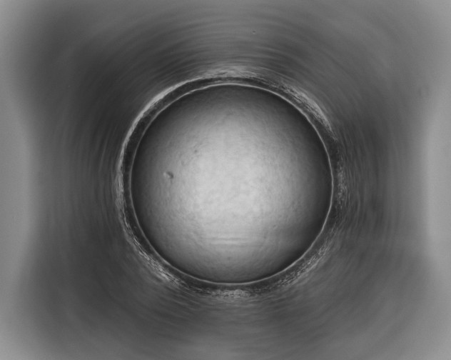 X0000116320784200912091018