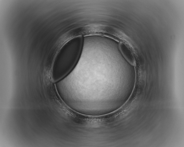 X0000116320785200912091018