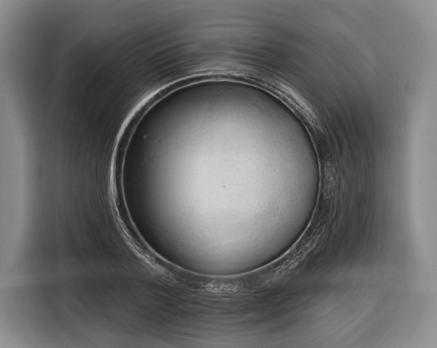 X0000116320788200912091018