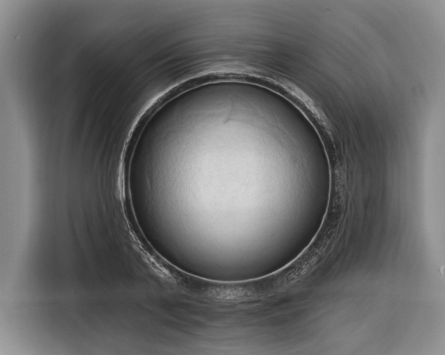 X0000116320791200912091018