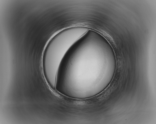 X0000116320792200912091018