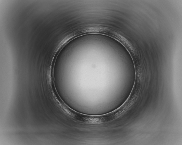 X0000116320794200912091018