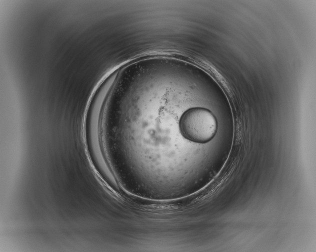 X0000116320795200912091018