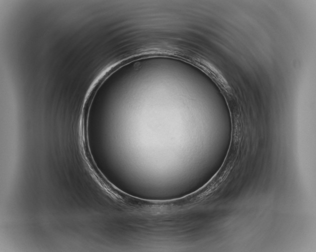 X0000116320796200912091018