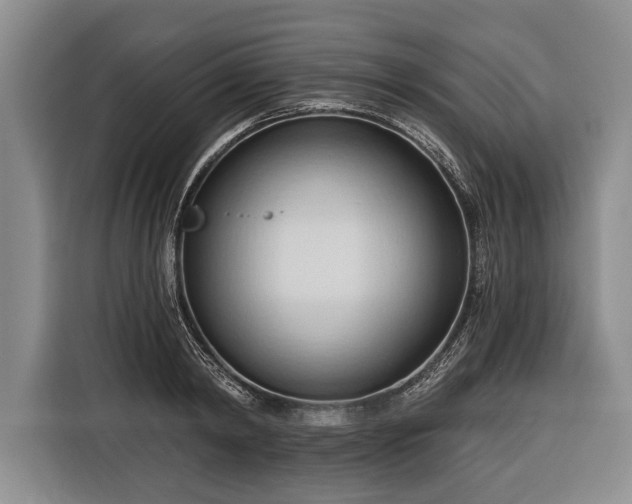 X0000116320798200912091018