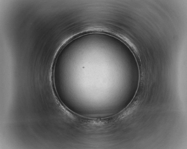 X0000116320799200912091018