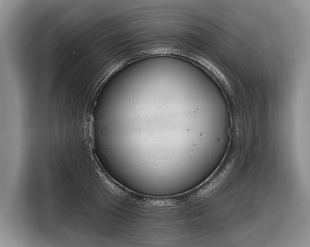 X0000116320801200912091018