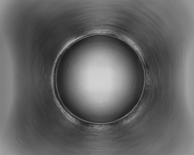 X0000116320803200912091018