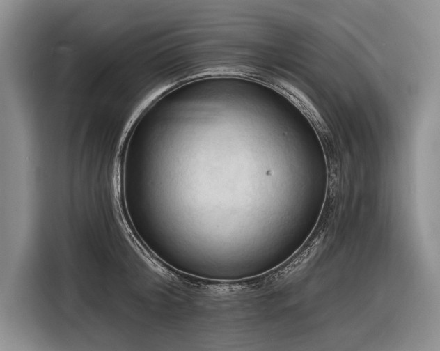 X0000116320804200912091018