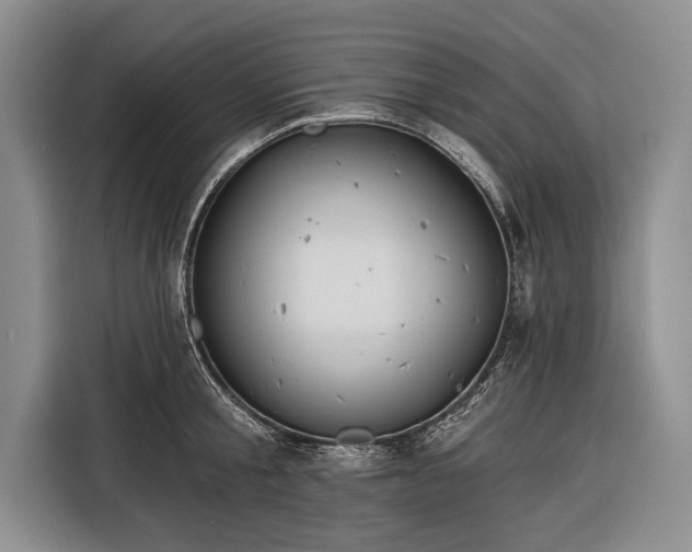 X0000116320805200912091018